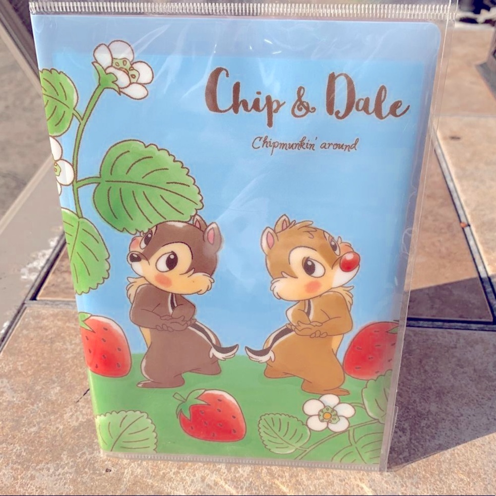 Tokyo Disney Chip ‘n Dale Letter Set